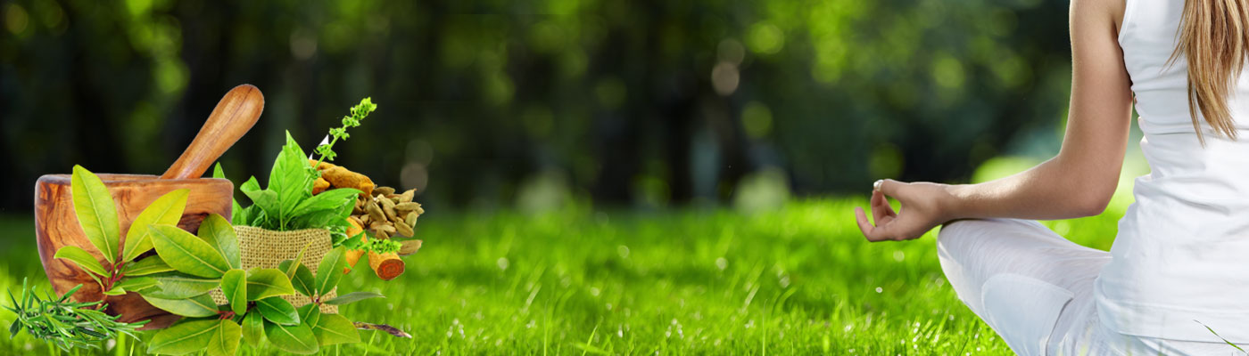 Banner 1