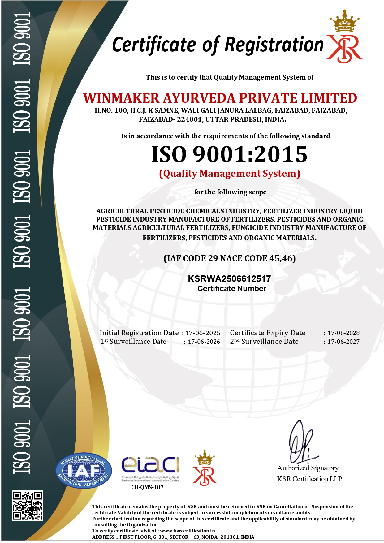 Certificate 6